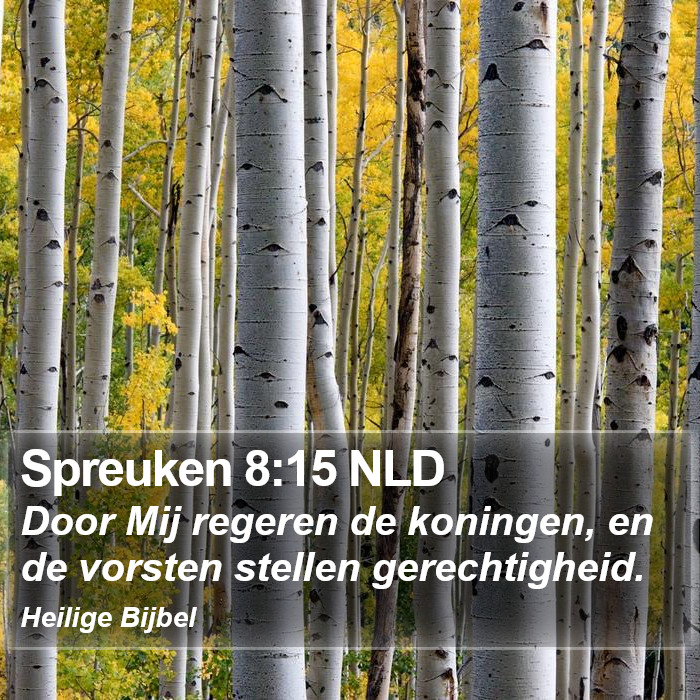 Spreuken 8:15 NLD Bible Study