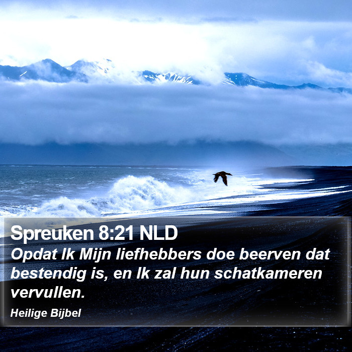 Spreuken 8:21 NLD Bible Study