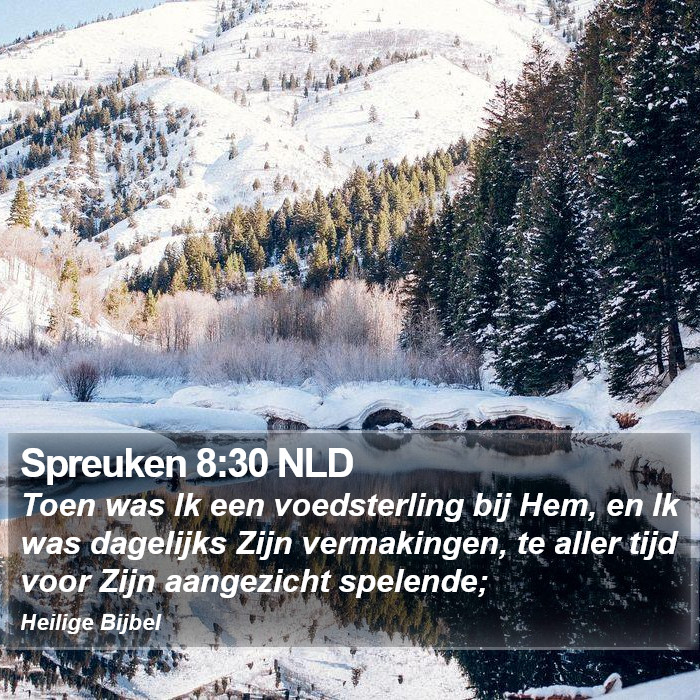 Spreuken 8:30 NLD Bible Study