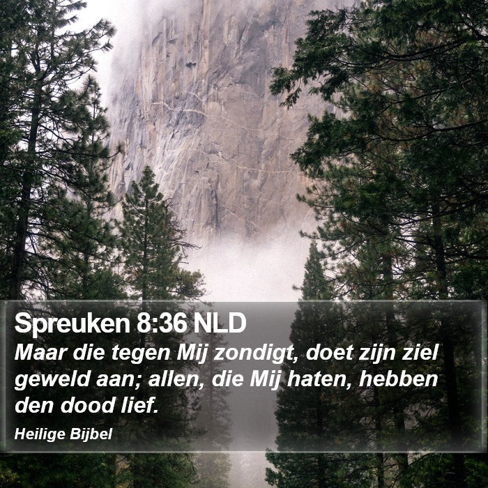 Spreuken 8:36 NLD Bible Study