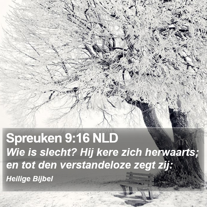 Spreuken 9:16 NLD Bible Study