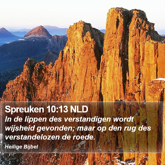 Spreuken 10:13 NLD Bible Study