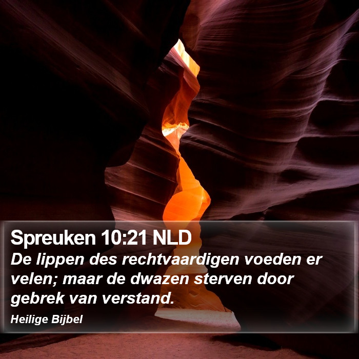 Spreuken 10:21 NLD Bible Study