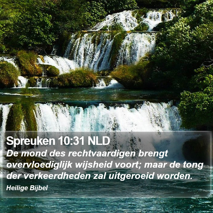 Spreuken 10:31 NLD Bible Study