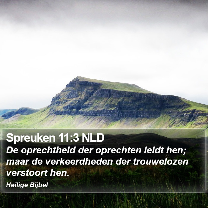 Spreuken 11:3 NLD Bible Study