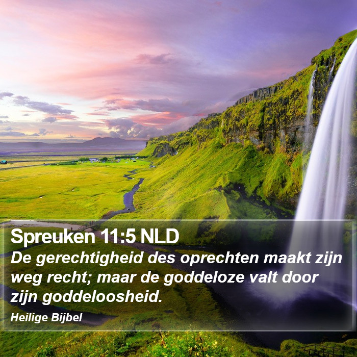 Spreuken 11:5 NLD Bible Study