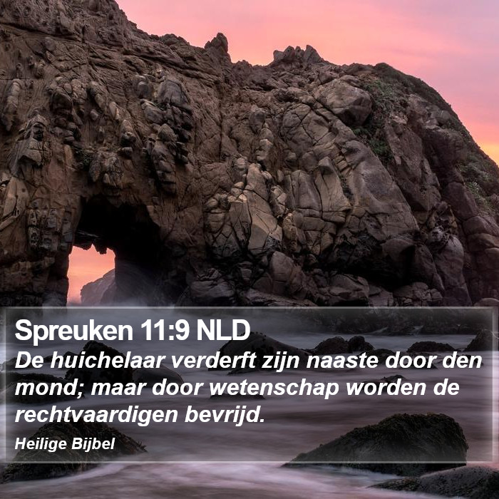 Spreuken 11:9 NLD Bible Study