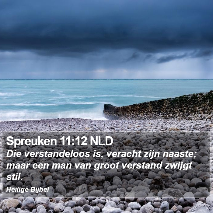 Spreuken 11:12 NLD Bible Study