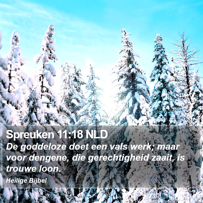 Spreuken 11:18 NLD Bible Study