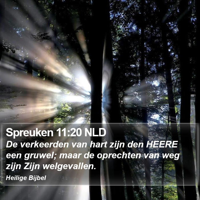 Spreuken 11:20 NLD Bible Study