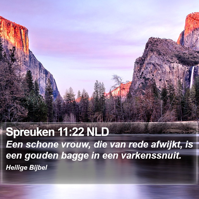 Spreuken 11:22 NLD Bible Study