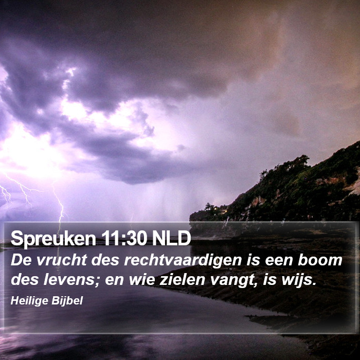 Spreuken 11:30 NLD Bible Study