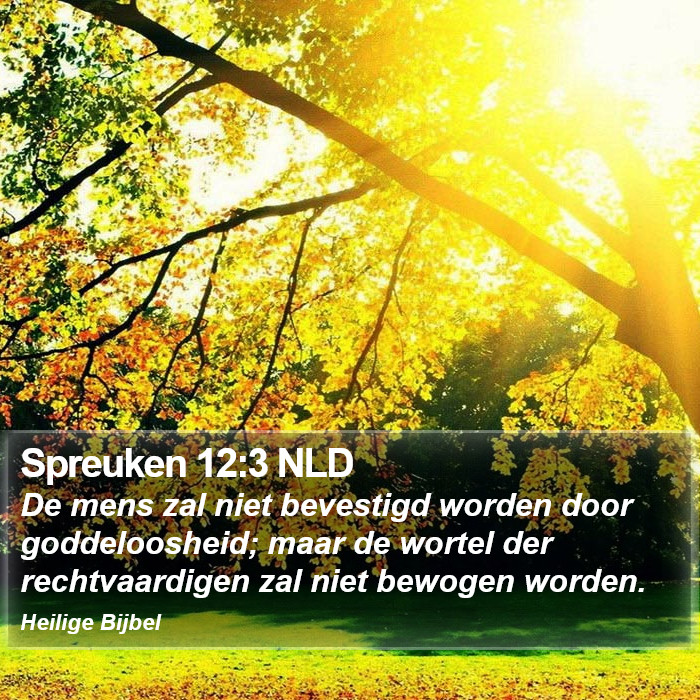 Spreuken 12:3 NLD Bible Study