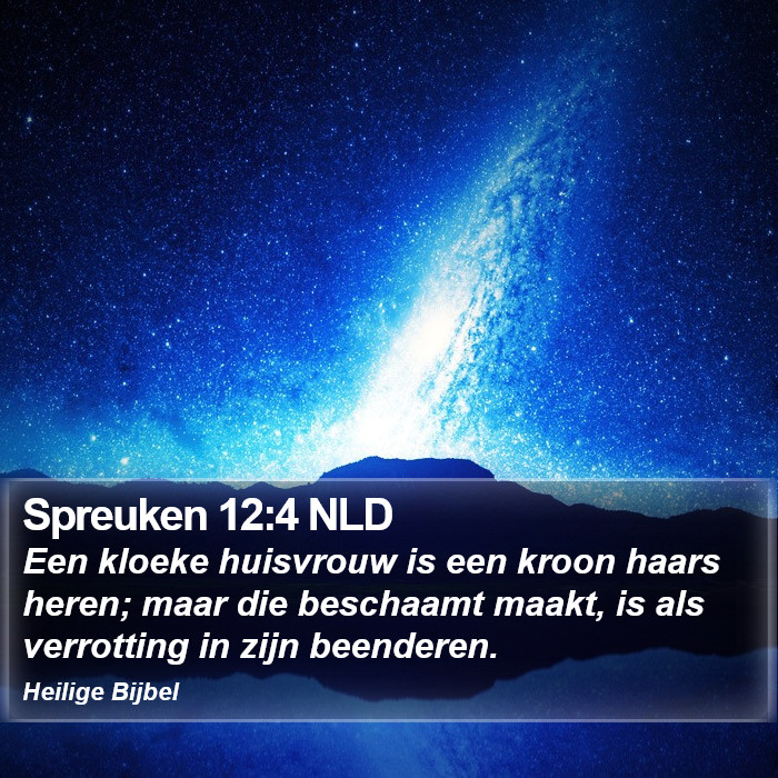 Spreuken 12:4 NLD Bible Study