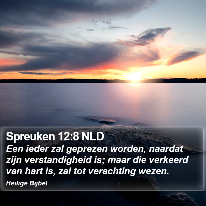 Spreuken 12:8 NLD Bible Study