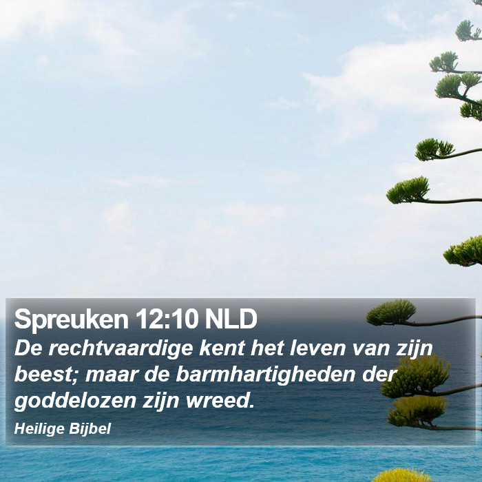 Spreuken 12:10 NLD Bible Study