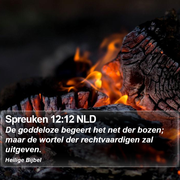 Spreuken 12:12 NLD Bible Study