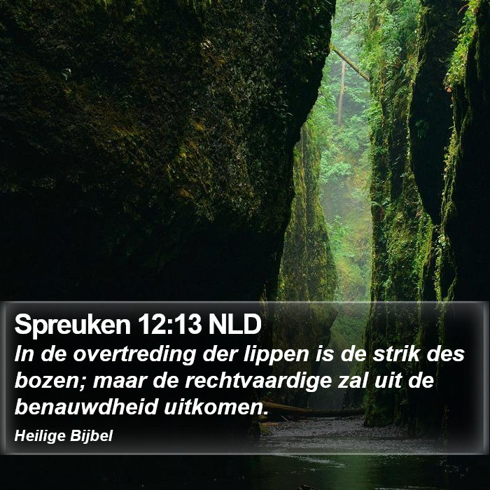 Spreuken 12:13 NLD Bible Study