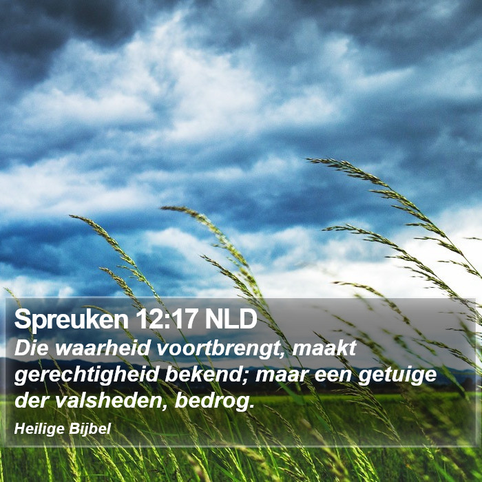 Spreuken 12:17 NLD Bible Study