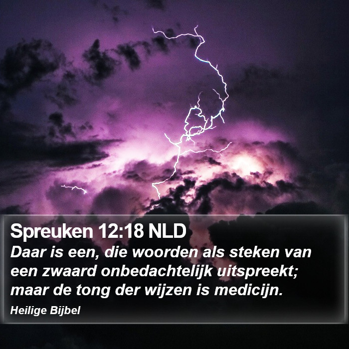 Spreuken 12:18 NLD Bible Study