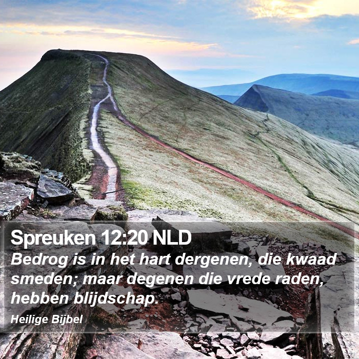 Spreuken 12:20 NLD Bible Study