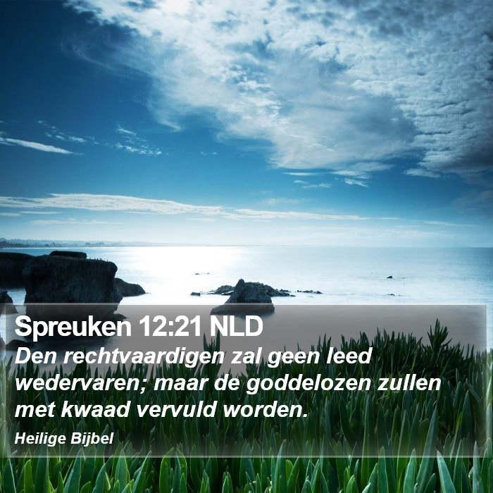 Spreuken 12:21 NLD Bible Study