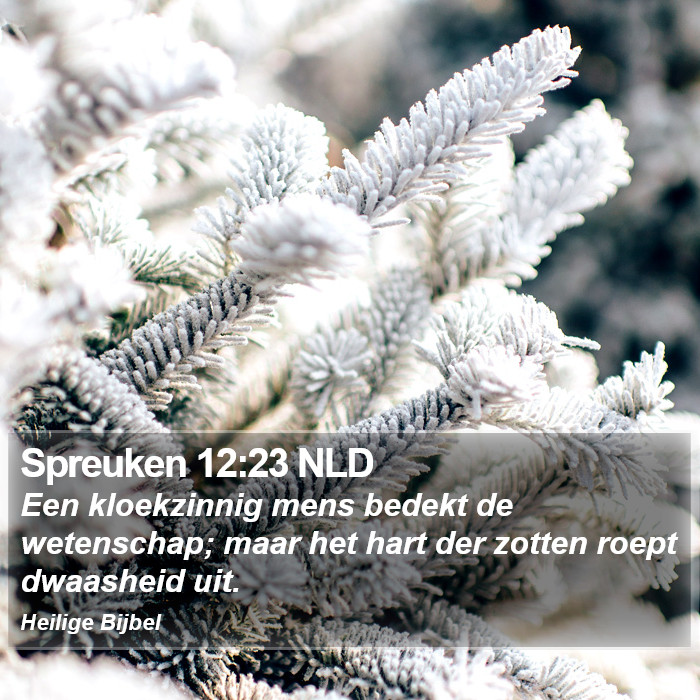 Spreuken 12:23 NLD Bible Study