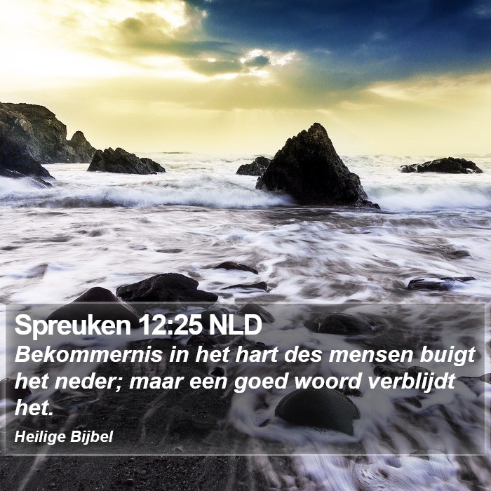 Spreuken 12:25 NLD Bible Study