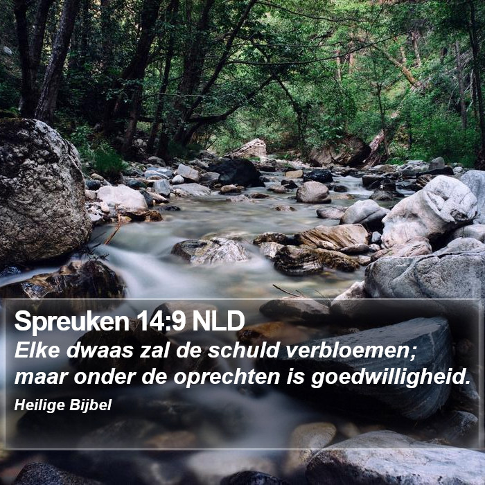 Spreuken 14:9 NLD Bible Study