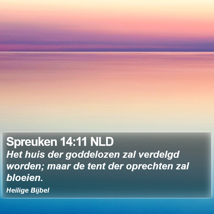 Spreuken 14:11 NLD Bible Study