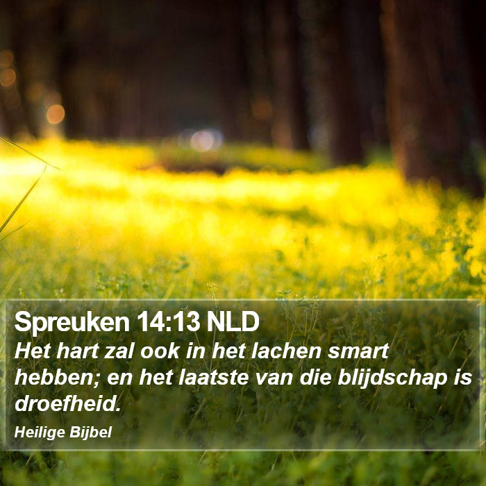 Spreuken 14:13 NLD Bible Study