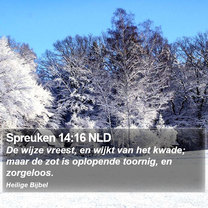 Spreuken 14:16 NLD Bible Study