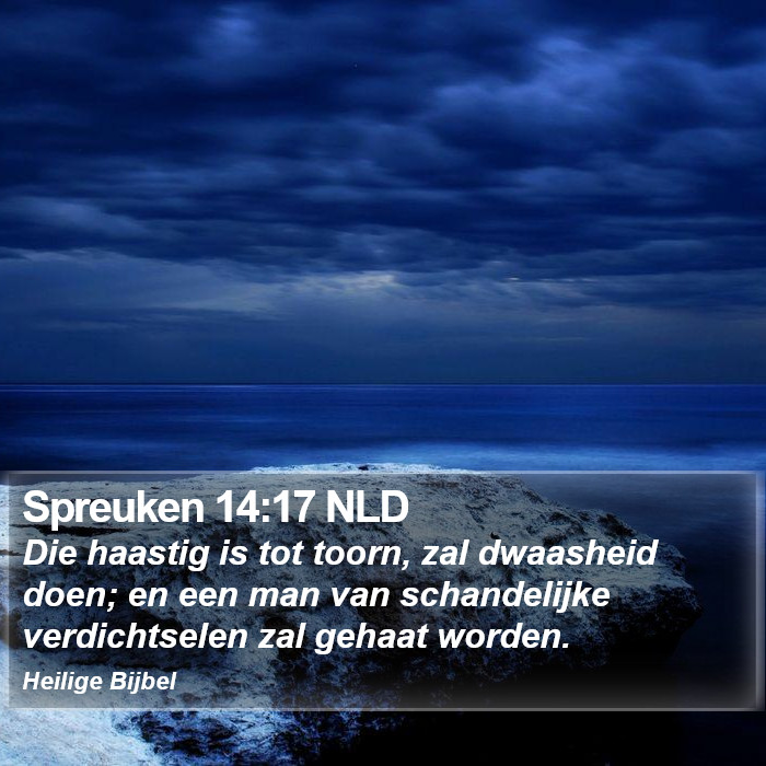 Spreuken 14:17 NLD Bible Study