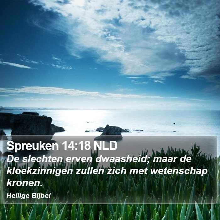 Spreuken 14:18 NLD Bible Study