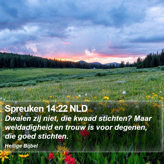 Spreuken 14:22 NLD Bible Study