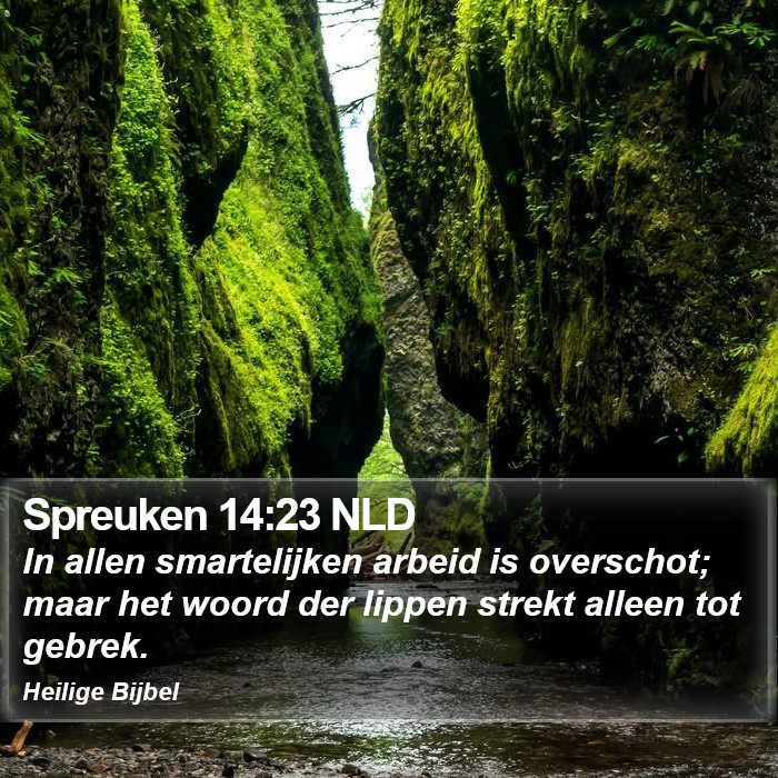 Spreuken 14:23 NLD Bible Study