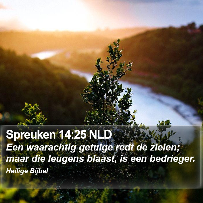 Spreuken 14:25 NLD Bible Study