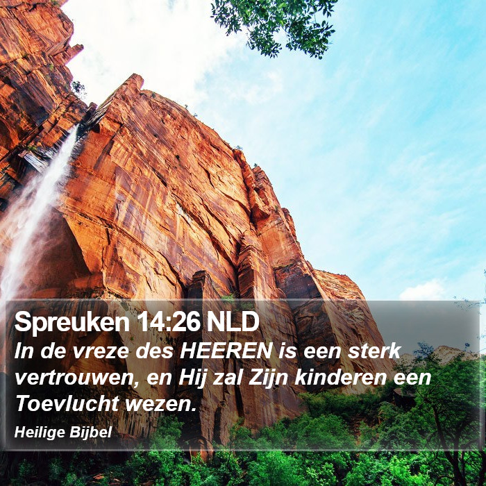 Spreuken 14:26 NLD Bible Study