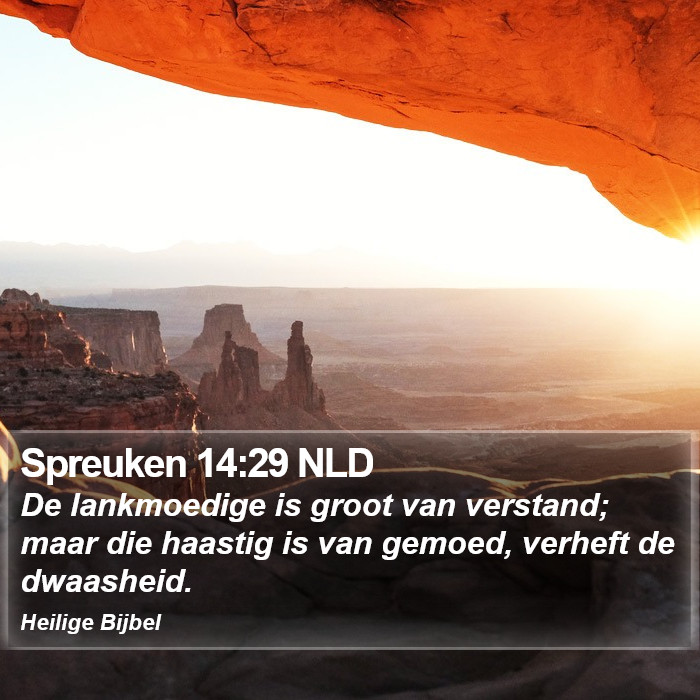 Spreuken 14:29 NLD Bible Study