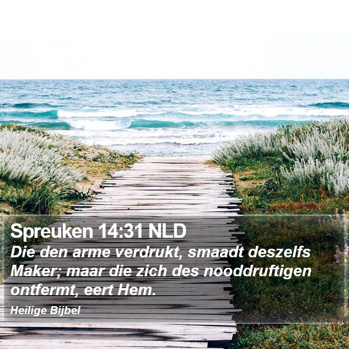 Spreuken 14:31 NLD Bible Study