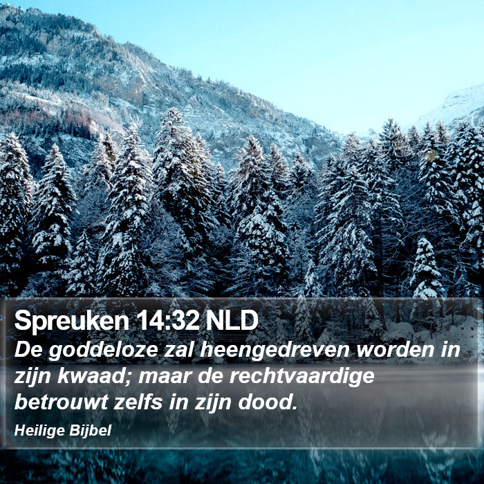 Spreuken 14:32 NLD Bible Study