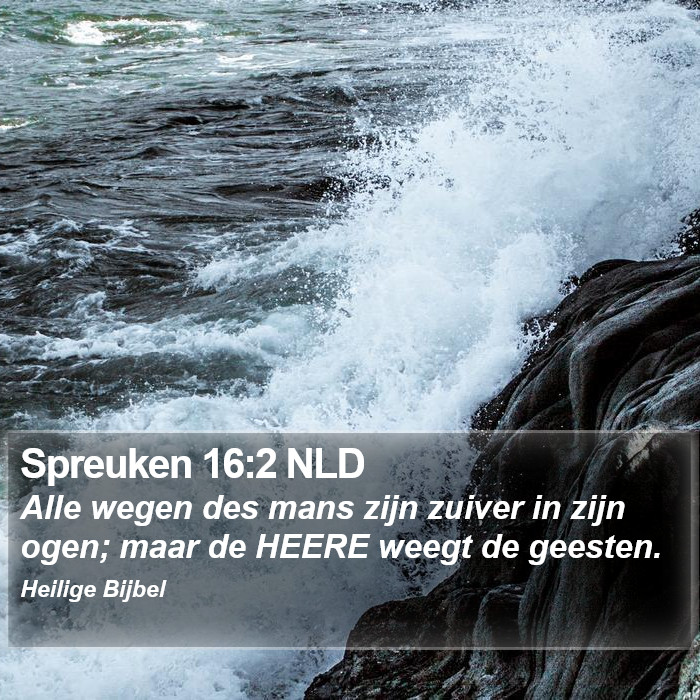 Spreuken 16:2 NLD Bible Study