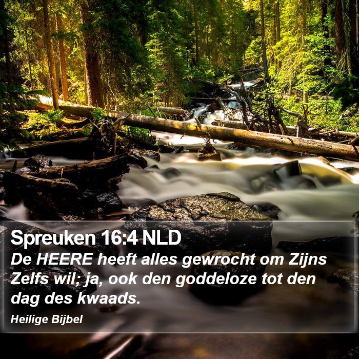 Spreuken 16:4 NLD Bible Study