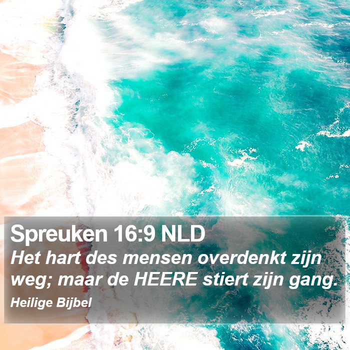 Spreuken 16:9 NLD Bible Study