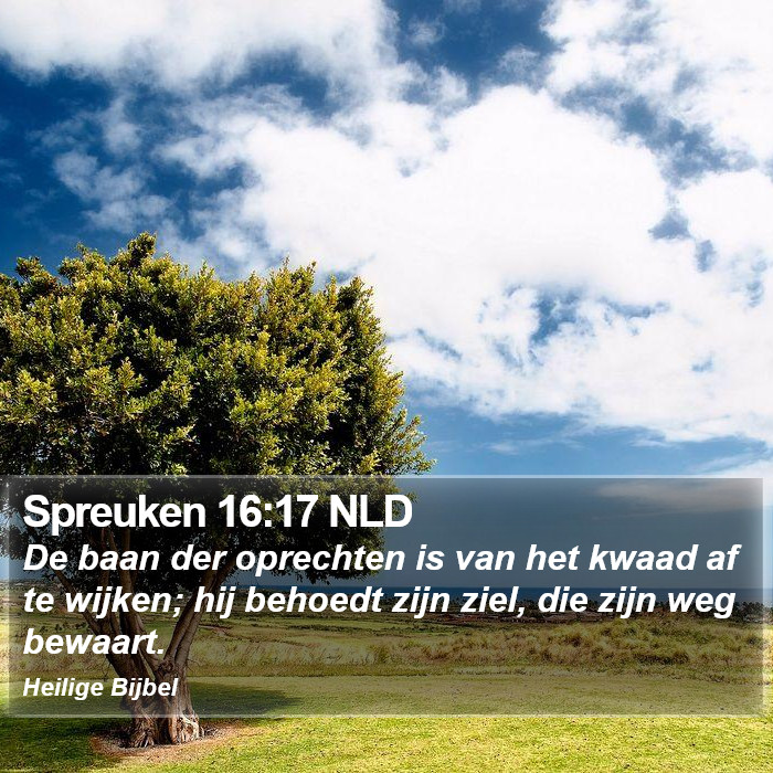 Spreuken 16:17 NLD Bible Study