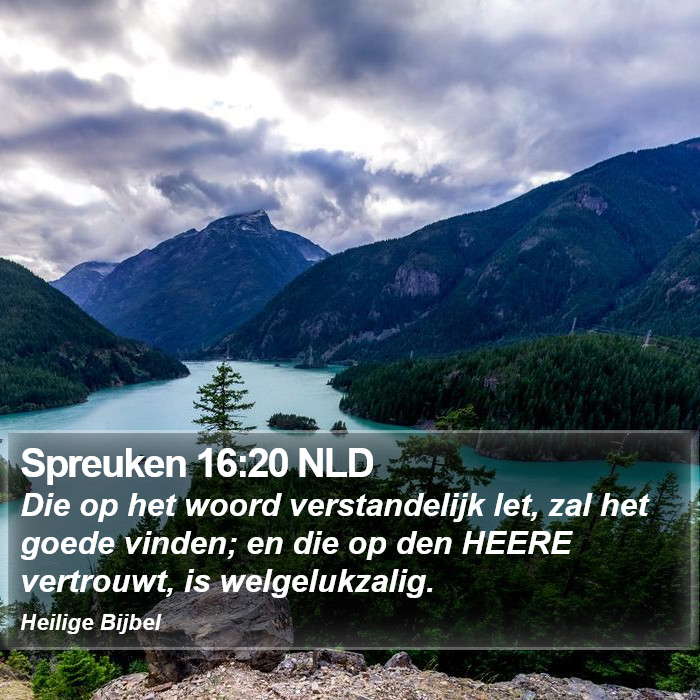 Spreuken 16:20 NLD Bible Study