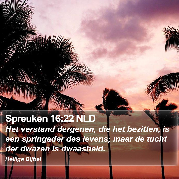 Spreuken 16:22 NLD Bible Study