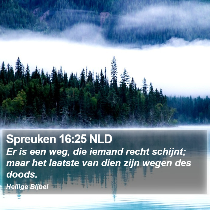 Spreuken 16:25 NLD Bible Study