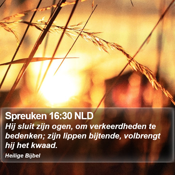 Spreuken 16:30 NLD Bible Study