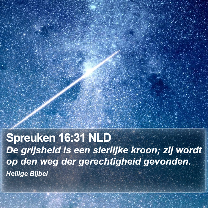 Spreuken 16:31 NLD Bible Study